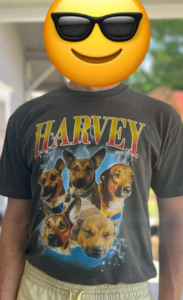 Exemplo de t-shirt personalizada com foto do cão em estilo vintage anos 90