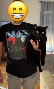 Exemplo de t-shirt personalizada com foto do gato em estilo vintage anos 90