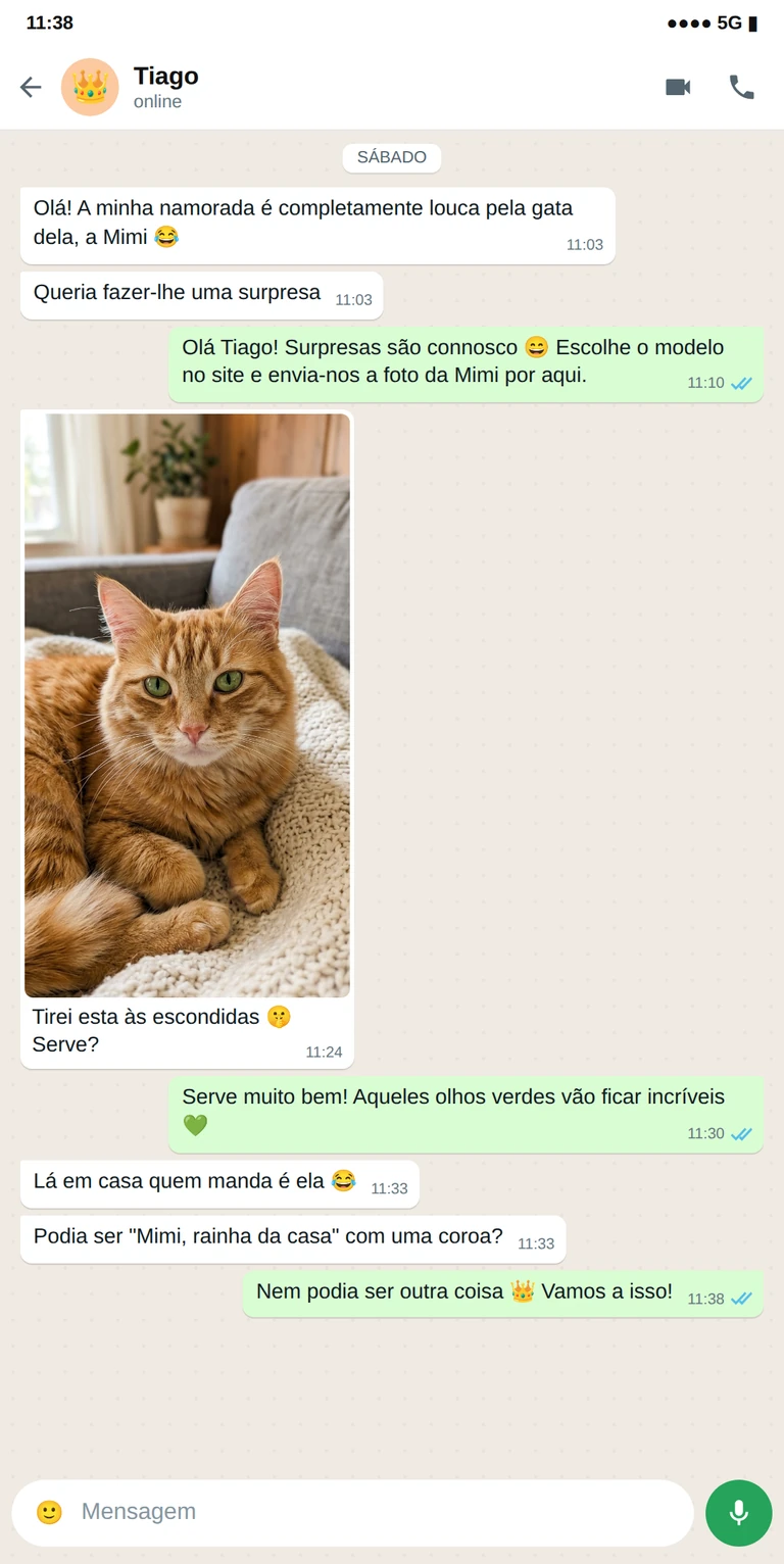 Exemplo de conversa de WhatsApp: t-shirt com foto da gata como prenda para a namorada