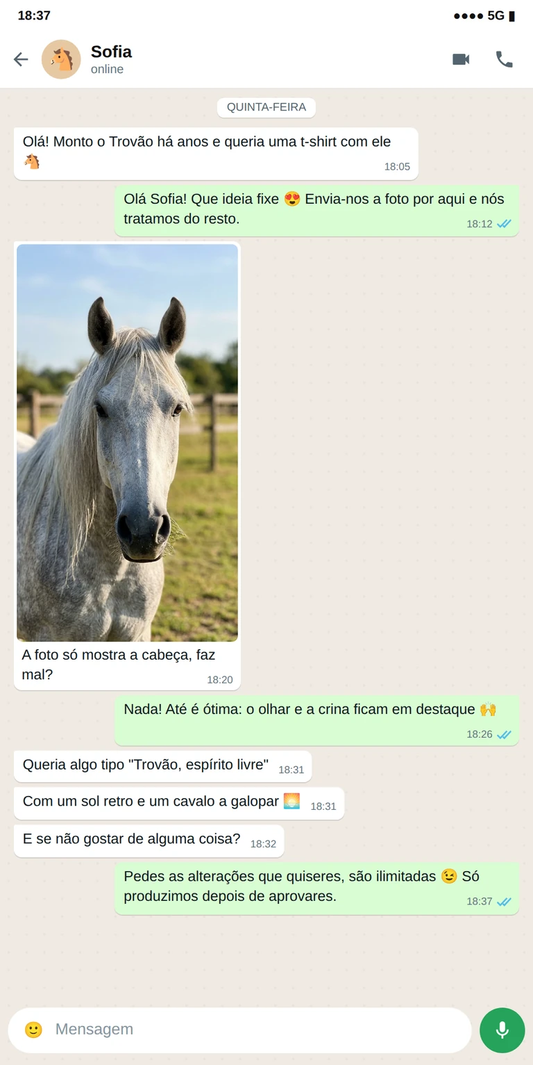 Exemplo de conversa de WhatsApp com a foto de um cavalo para uma t-shirt personalizada